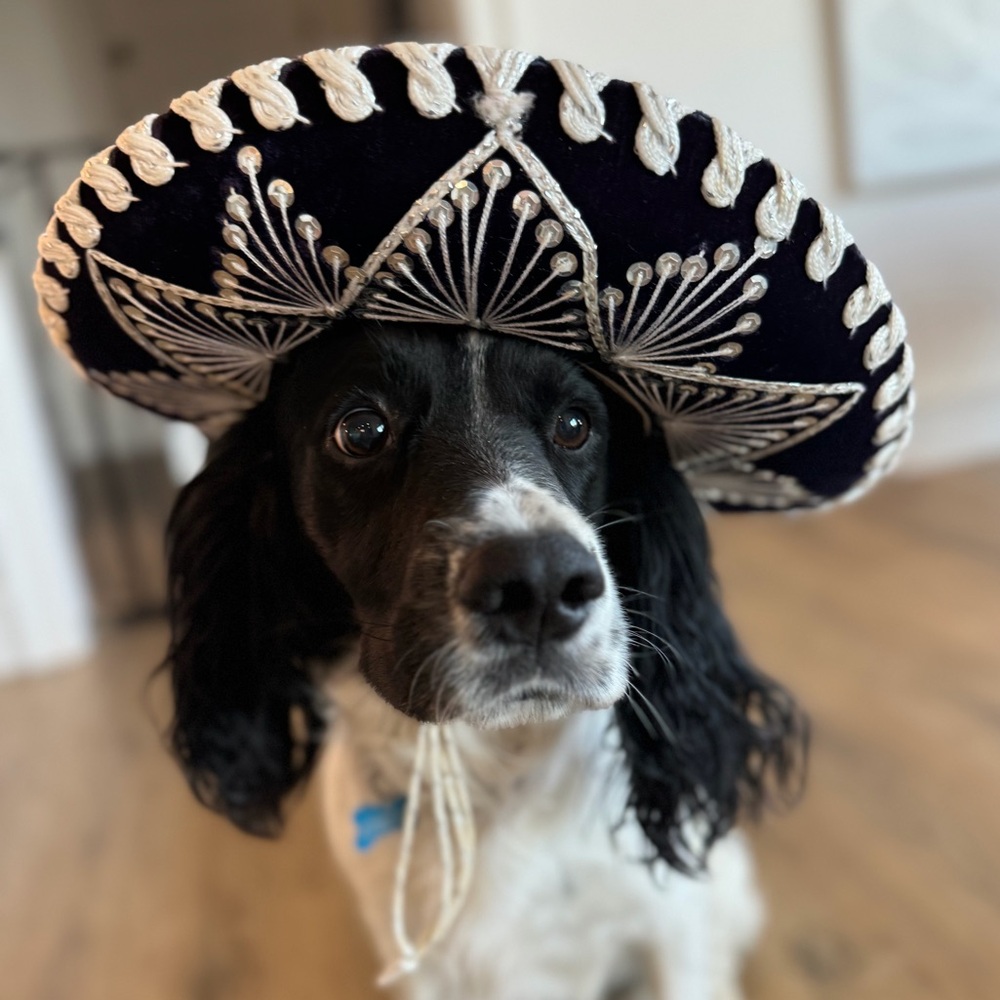Belri Sombrero Small Vintage Mariachi Hat Child or Dog Costume